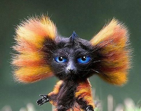 Надежда Андрющенко