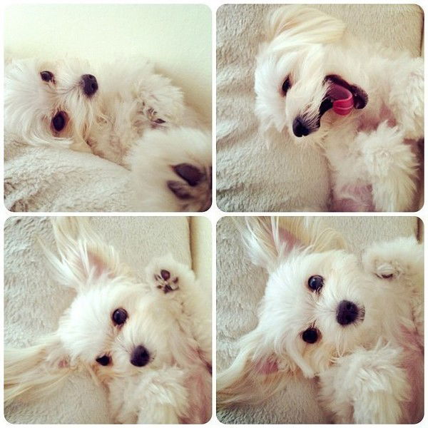 Алёна Трушина