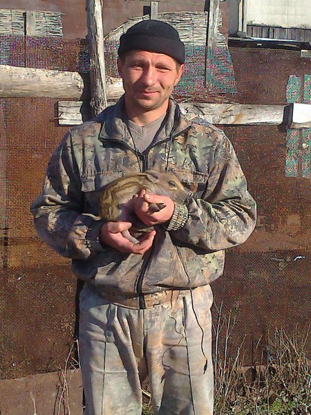 Николай Николаевич