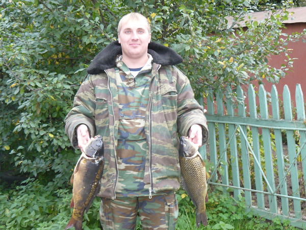 Александр Щеголев