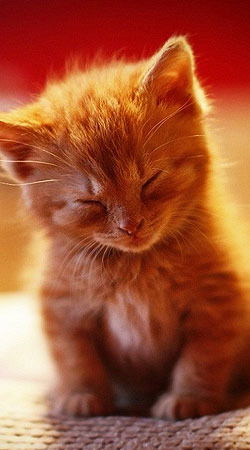 Наталья Клепцова