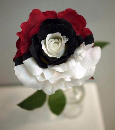 Ирина Красавчикова