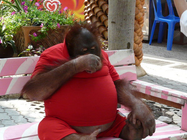 Алекс Модоров