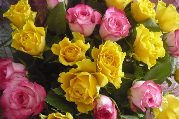 Наталья Бахматова