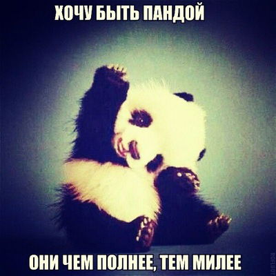 Люда Саенко