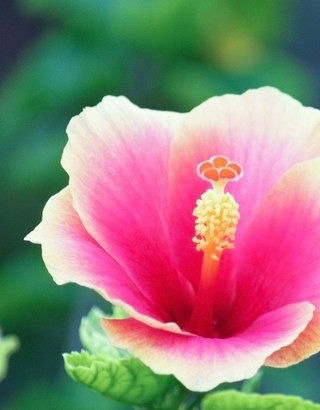 Нургуль Исамбаева