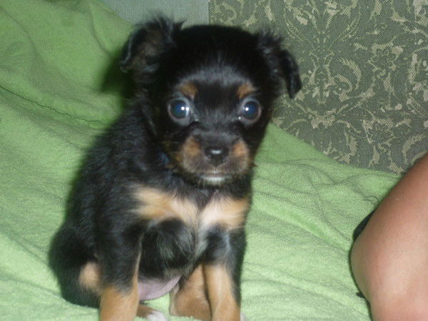 Наиля Фазылова