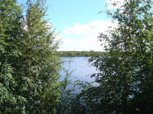 Сергей Рыжиков