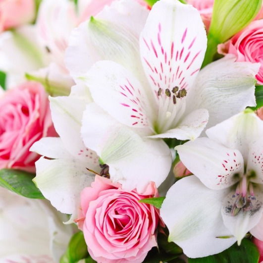 Евгения Фролова