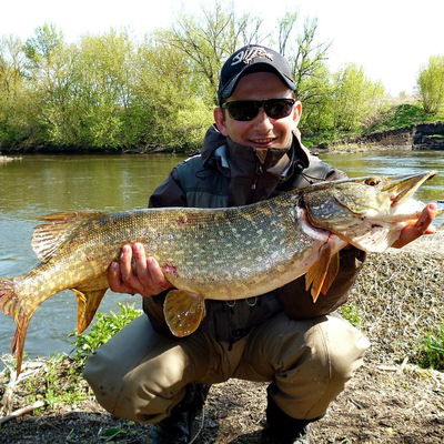 Александр Евтиков