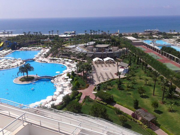 Аркадий Найда