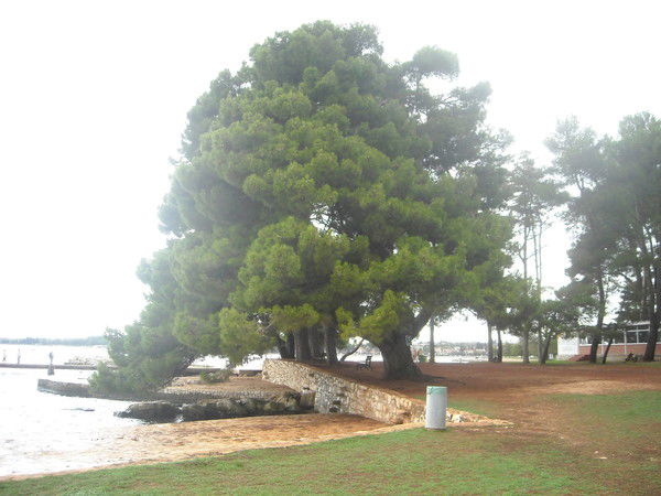 Валентина Ермачкова