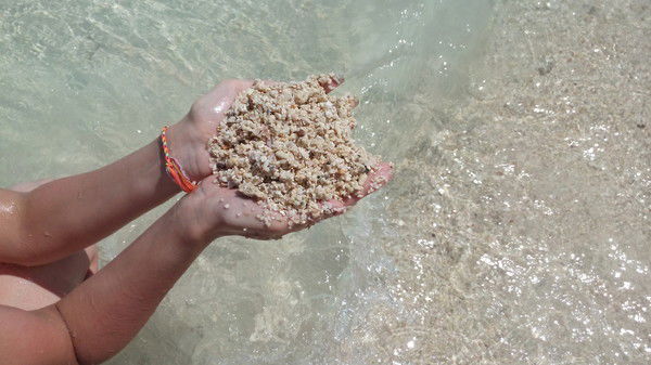 Ксения Белорукова