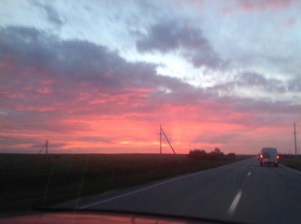 Дмитрий Кузиев