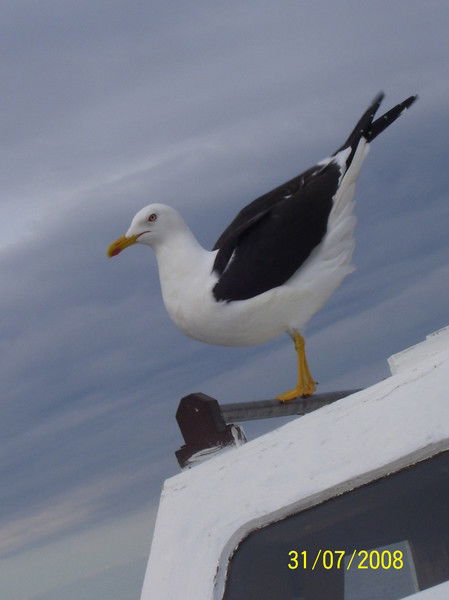 Неизвестно Неизвестно