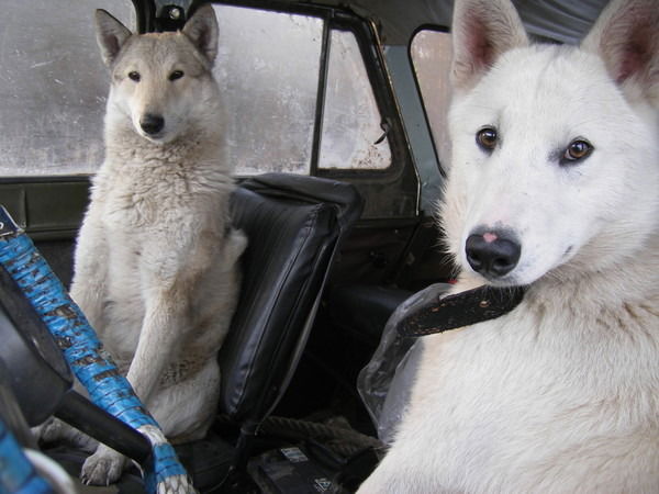 Гаяз Шарифуллин