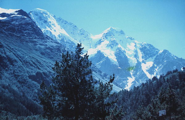 Евгений Кущь