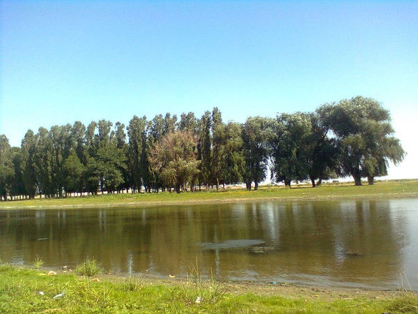 Турлан Рахметов