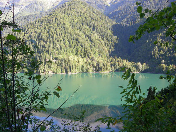 Татьяна Квон