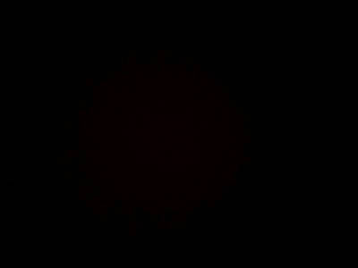 Дмитрий Березников