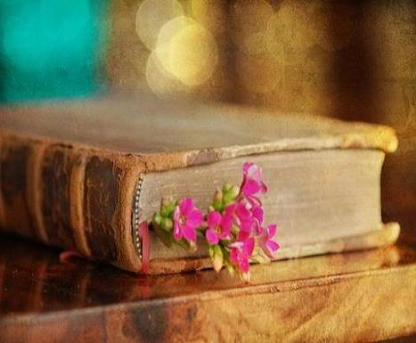 Людмила Массерова