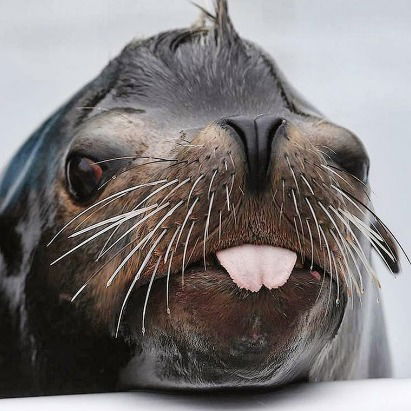 Александр Владимирович