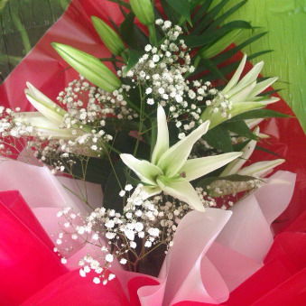 Наталья Косенкова