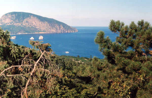 Ольга Исиченко