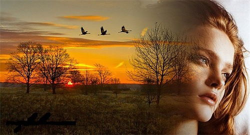 Наталья Степанова