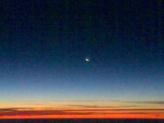 Елена Грошева