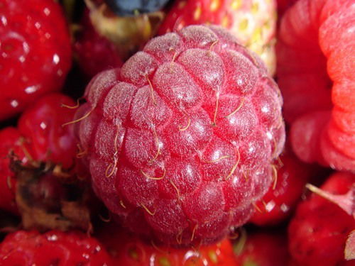 Евгения Климашевская