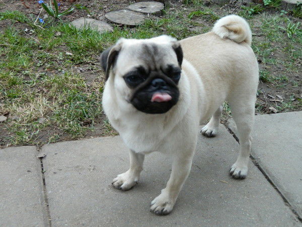 Ольга Девина