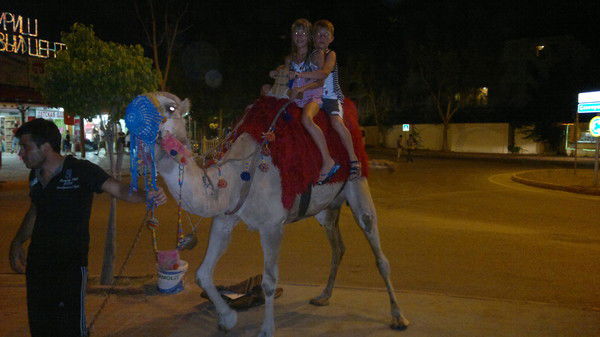 Никита Палий