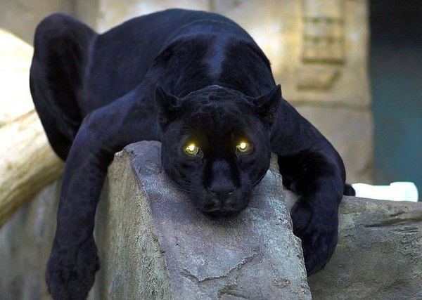 Наташа Сербай