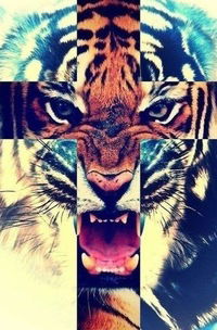 Соня Ольхова