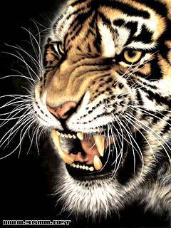 Данил Залогин