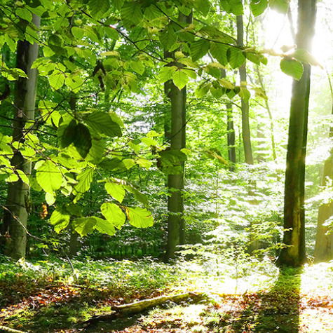 Александр Ташкинов