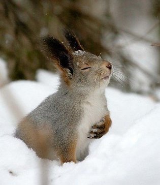 Татьяна Шнайдер