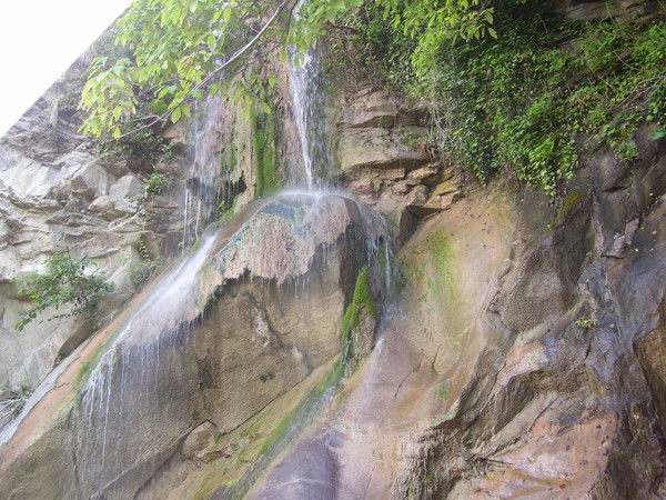 Людмила Шабалина