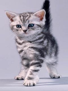 Лиза Пономарева