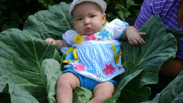 Халил Мингазов