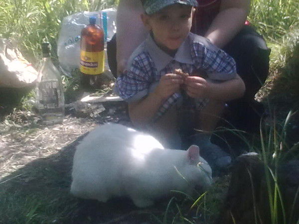 Дмитрий Сушко