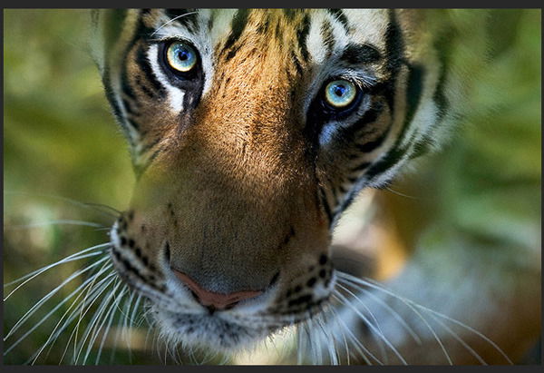 Бор-Раменский Сергей