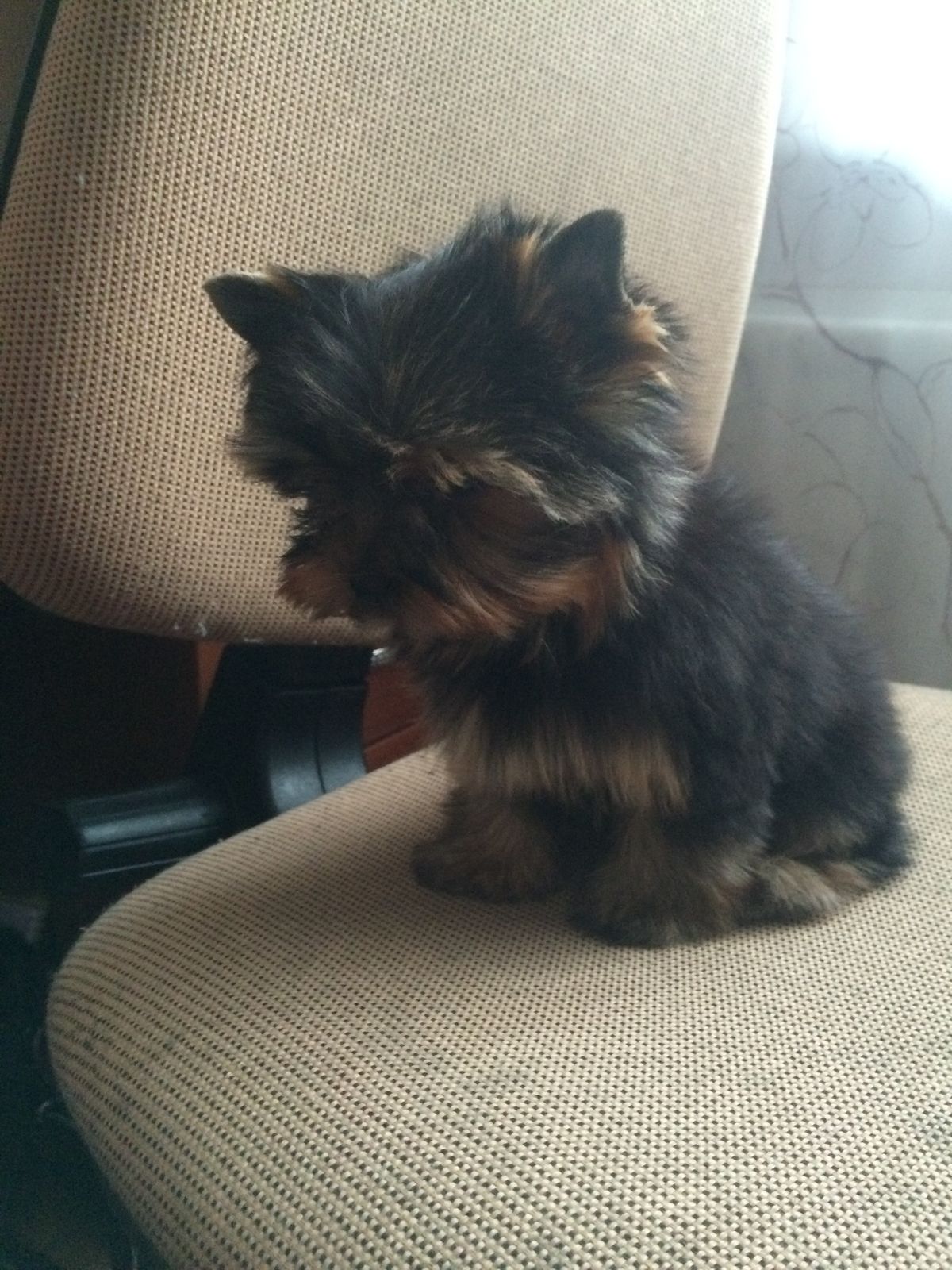 Надежда Березина