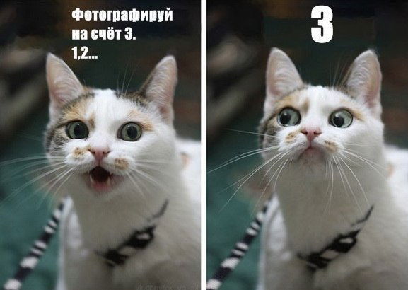 Маруся Марусявкина Нескажуева