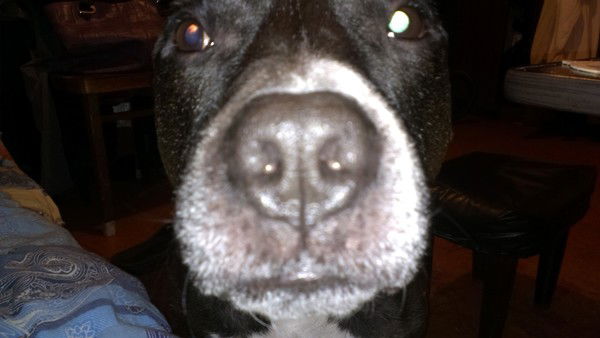 Алексей Созоновский