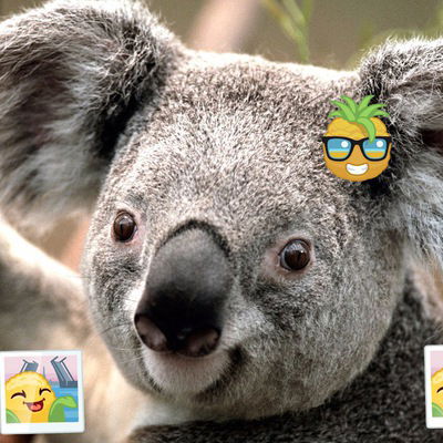 Юлия Россеева