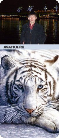 Михаил Михайлов