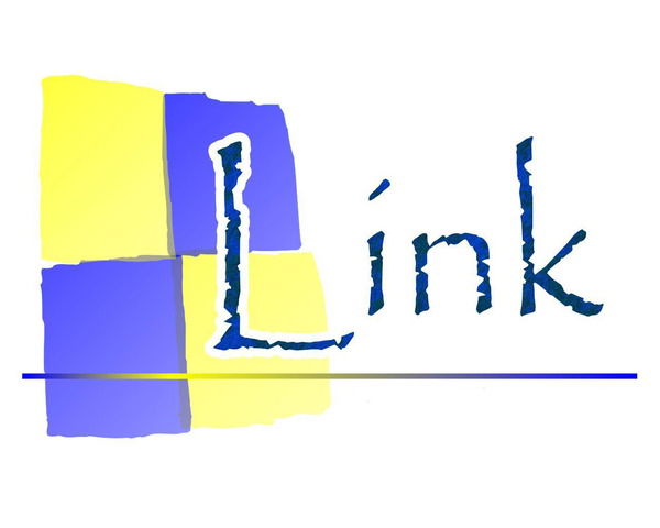 Link Company