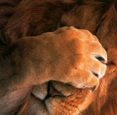 Александр Лебедев